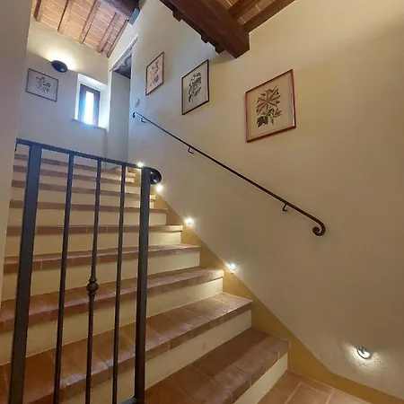 Fattoria La Campigliola Apartment Exterior photo