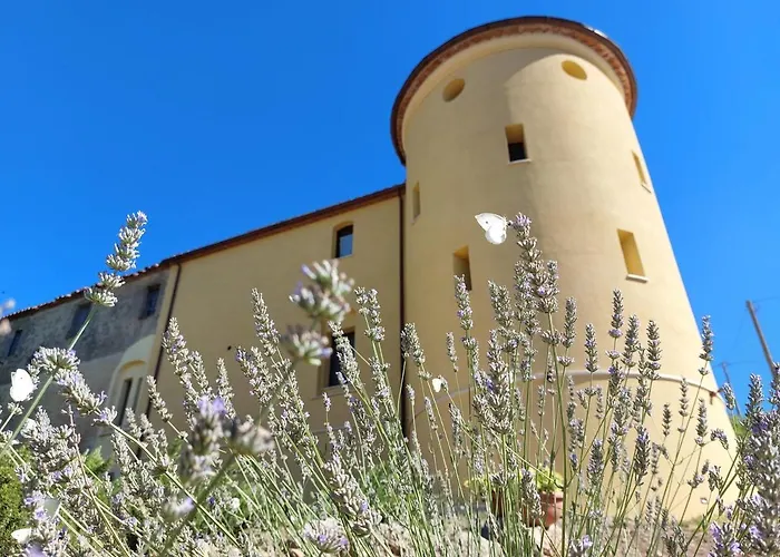 Fattoria La Campigliola