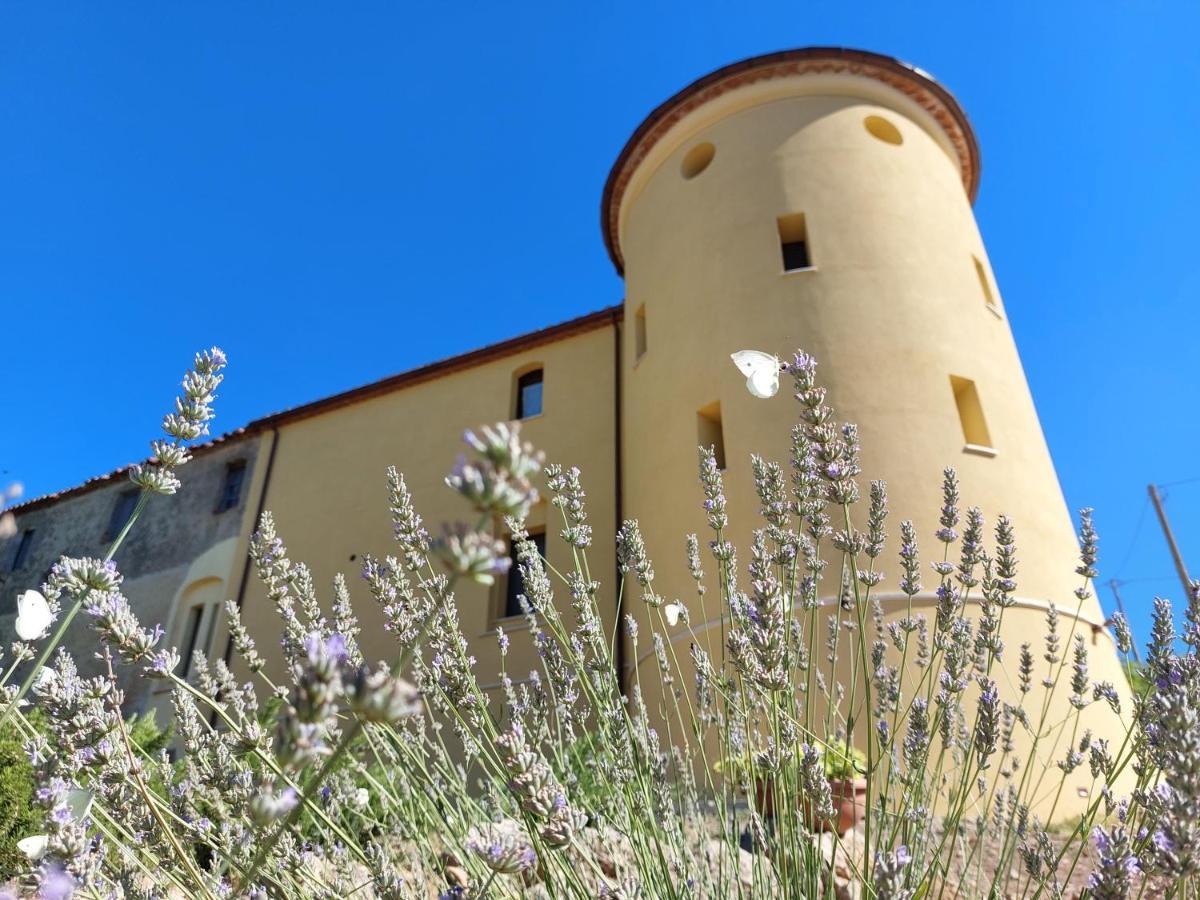 Fattoria